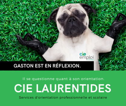 CIE emploi Laurentides