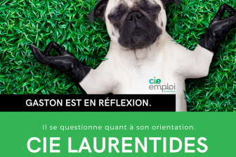 CIE emploi Laurentides